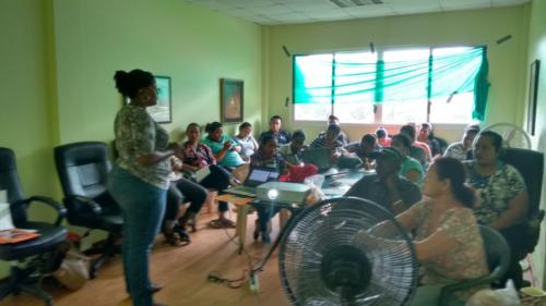 Saramacca Gekonfijte Awara